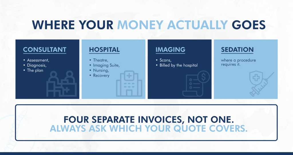 Breakdown of private pain treatment costs into consultant, hospital, imaging and sedation fees.